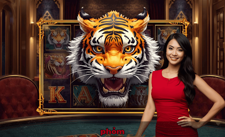 Phỏm